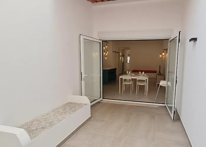 Coconut * 蒙蒂戈杜